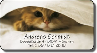 7353 - Aufkleber "Kater Leo" 33x62