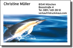 7470 - Visitenkarten Flipper